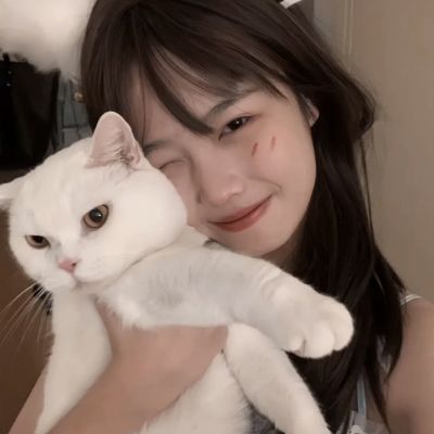 精灵幻想手游下载